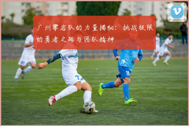 广州攀岩队的力量揭秘：挑战极限的勇者之路与团队精神