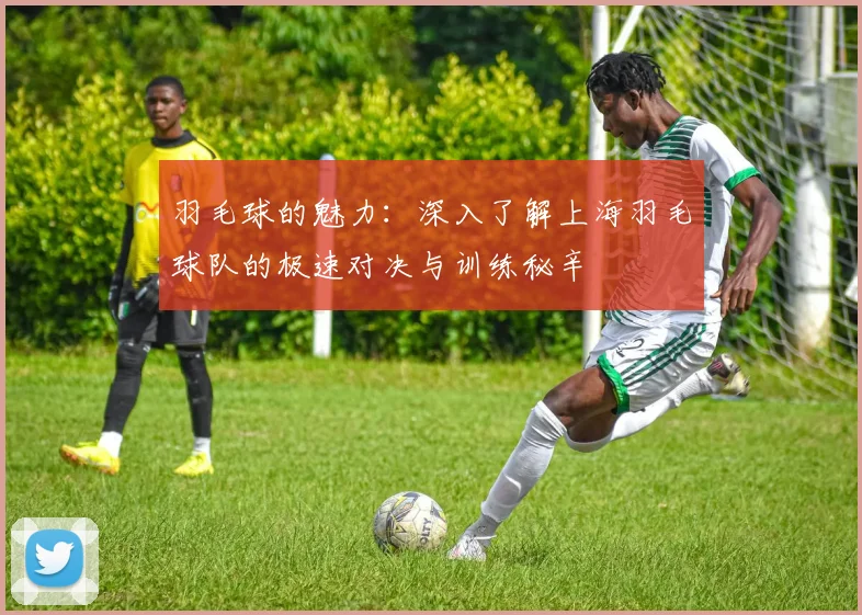 羽毛球的魅力：深入了解上海羽毛球队的极速对决与训练秘辛