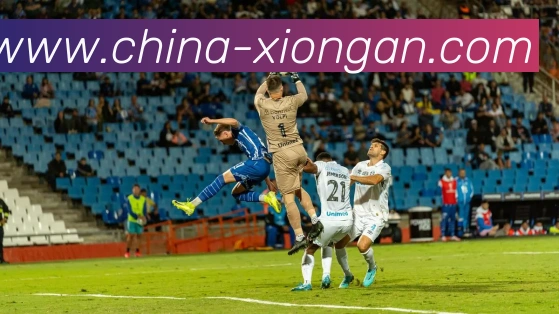 数据防护可视化
